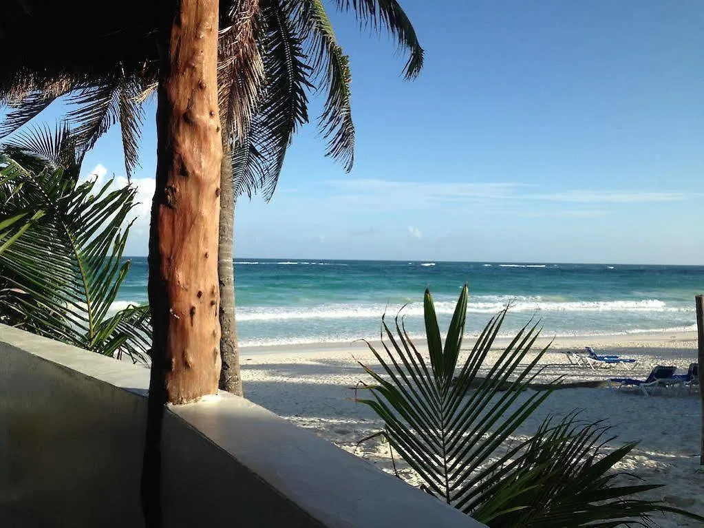 Agua Eco Design Hotel Tulum