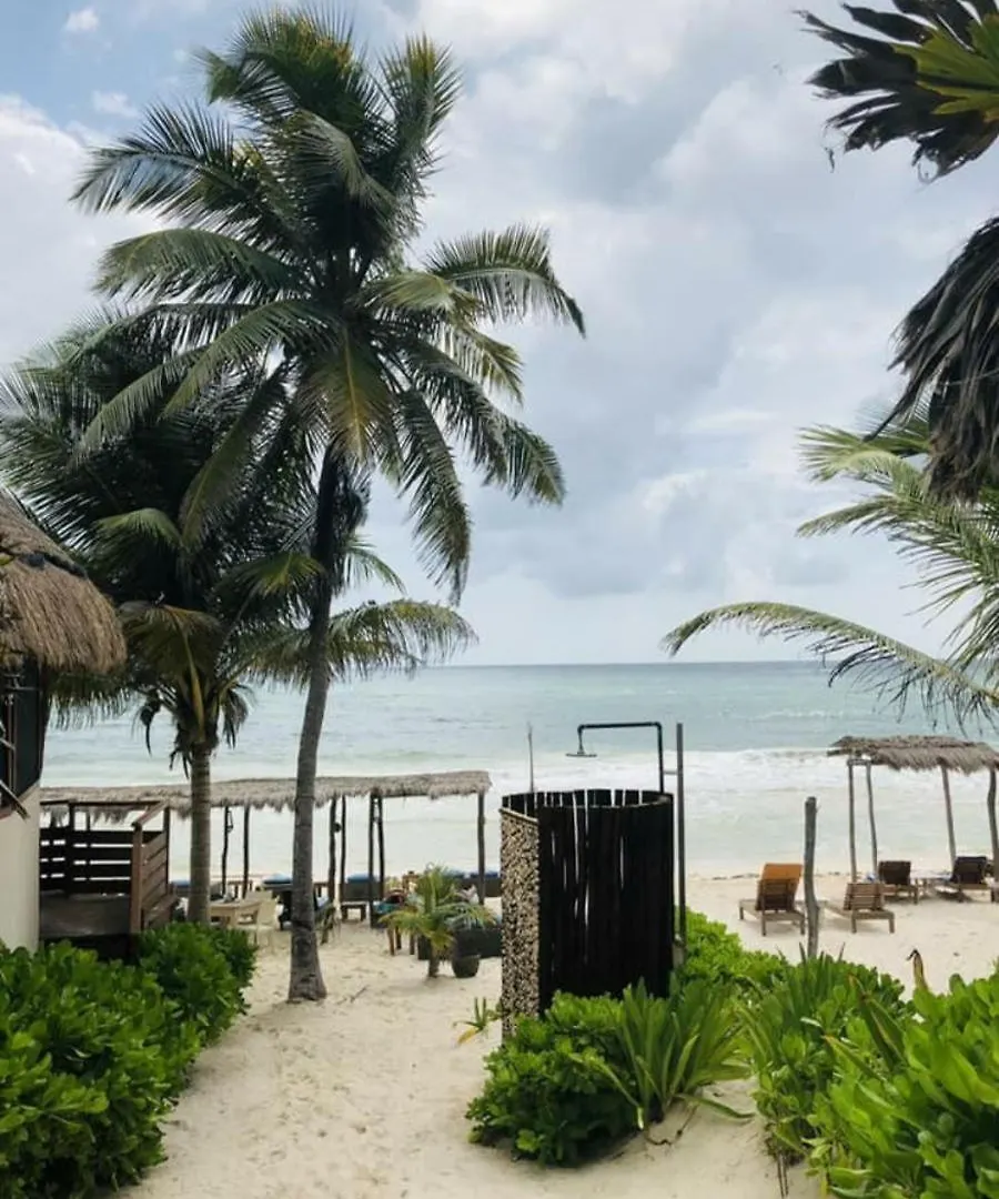 Agua Eco Design Hotel Tulum
