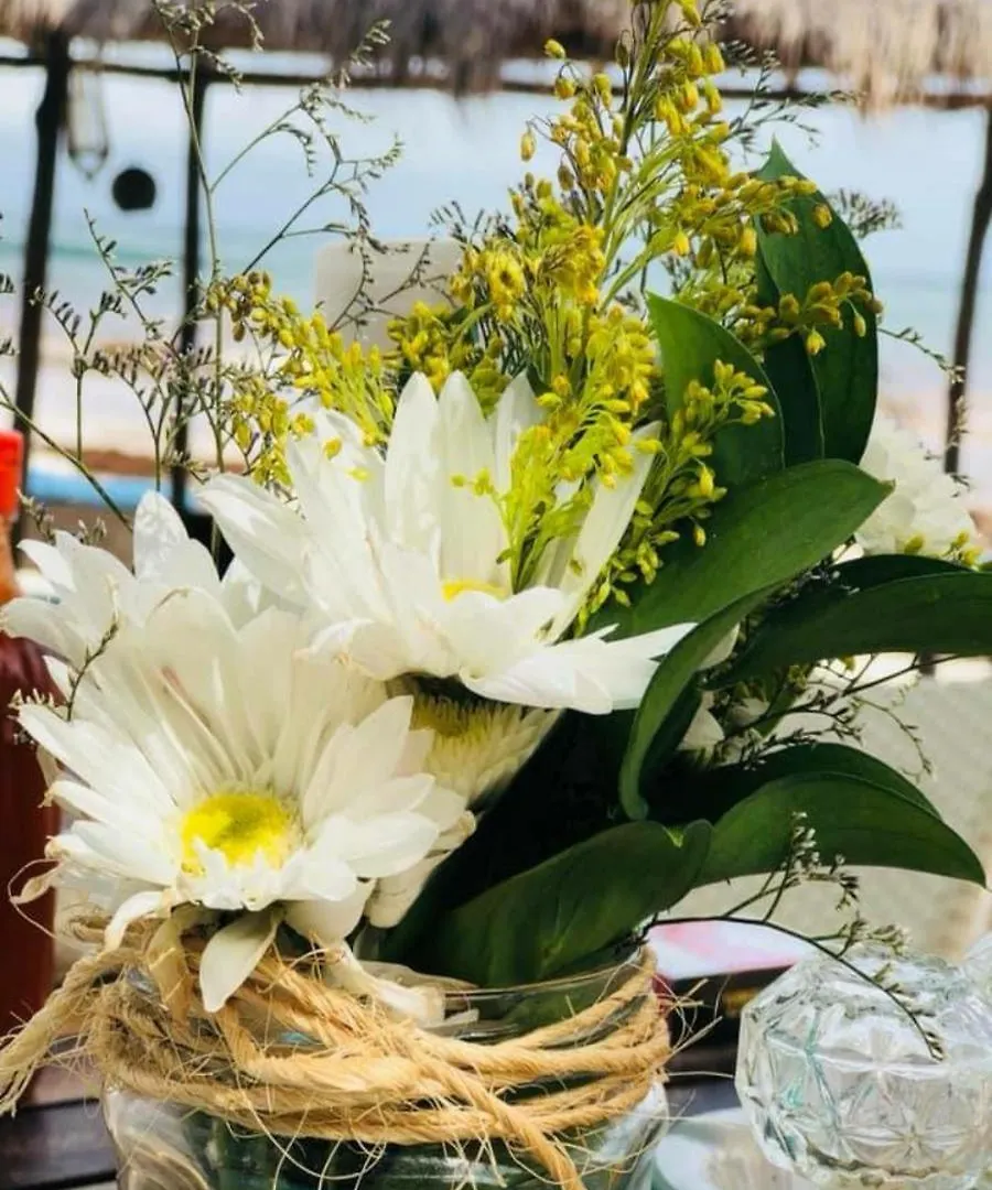 Agua Eco Design Hotel トゥルム 4*,  メキシコ